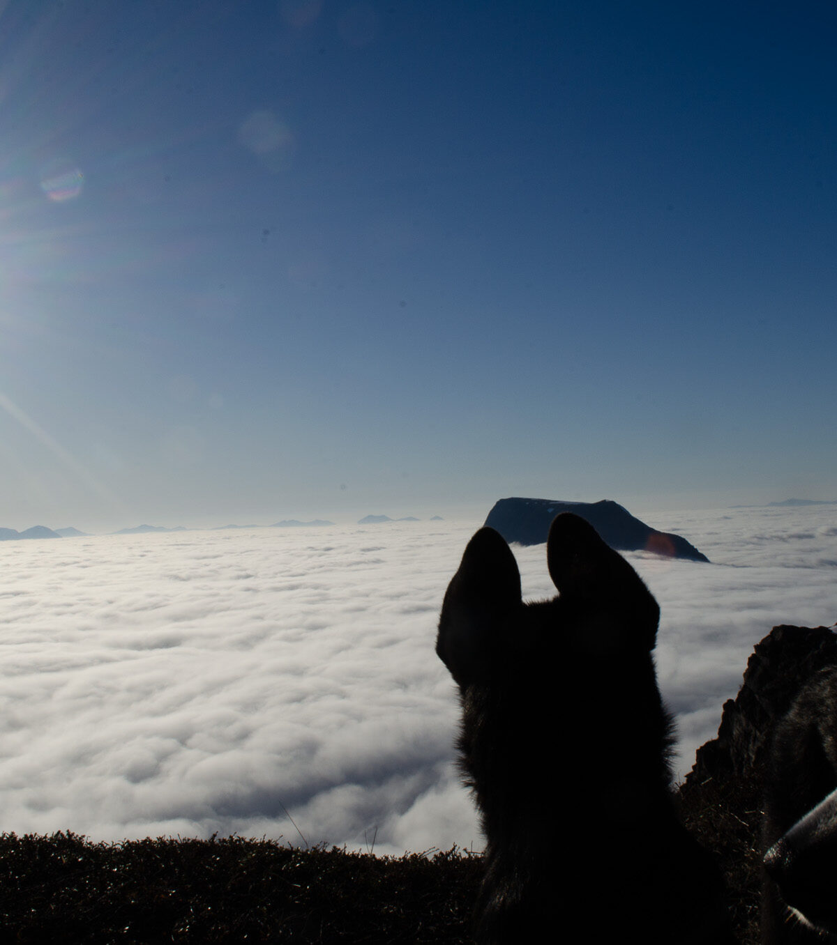 Above It All