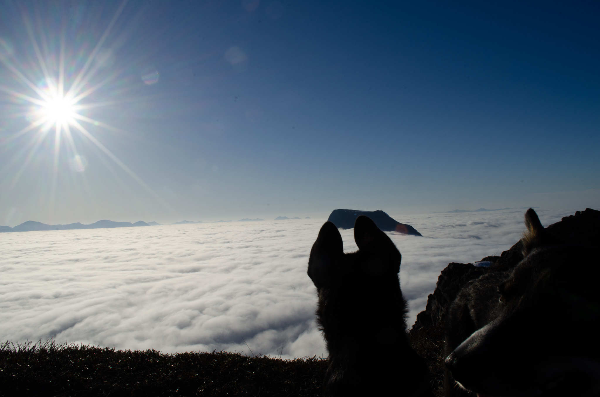 A figure with arms raised on a summit above a sunlit sea of cloud