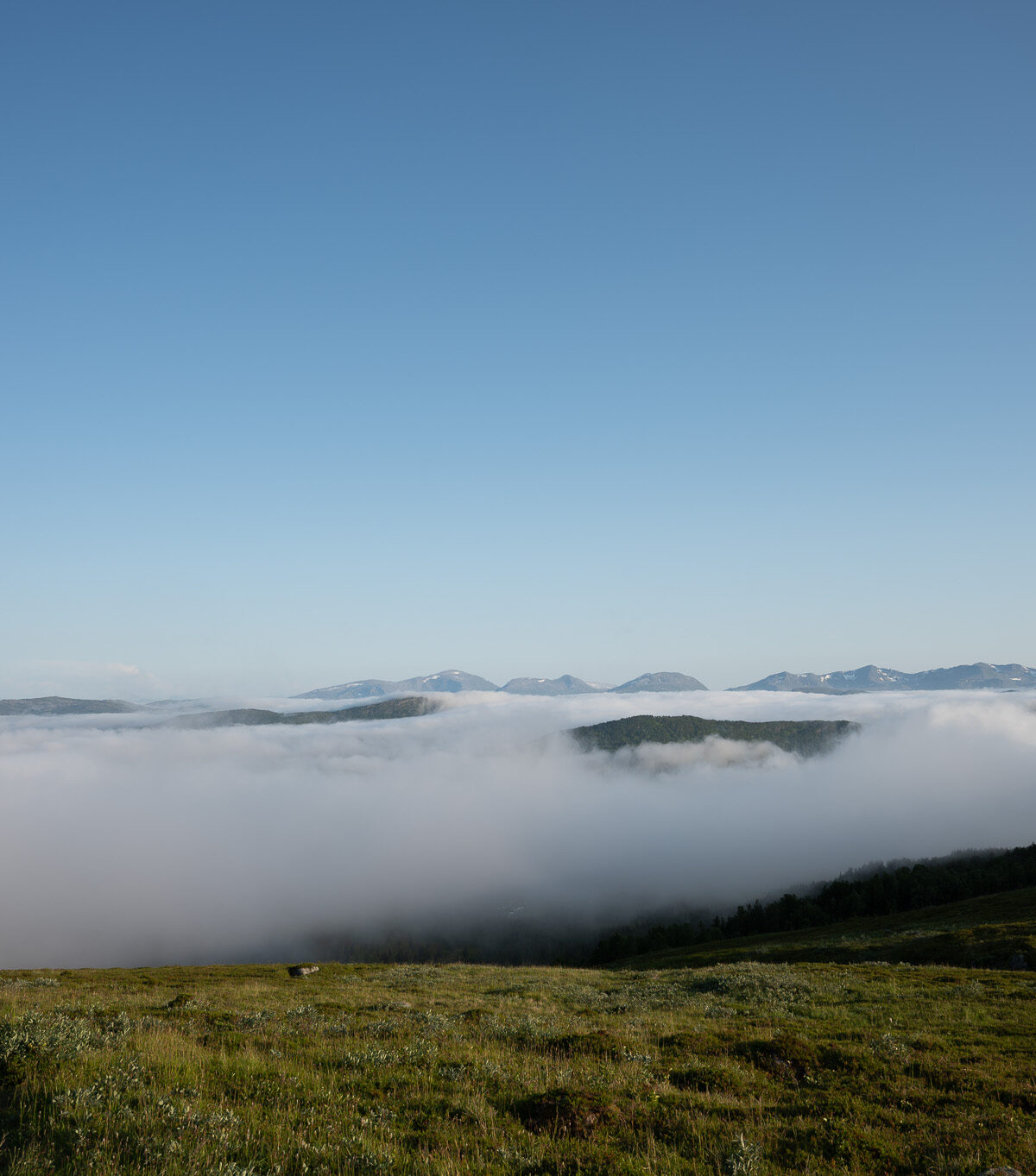 Above the Cloud Sea — Storlitinden