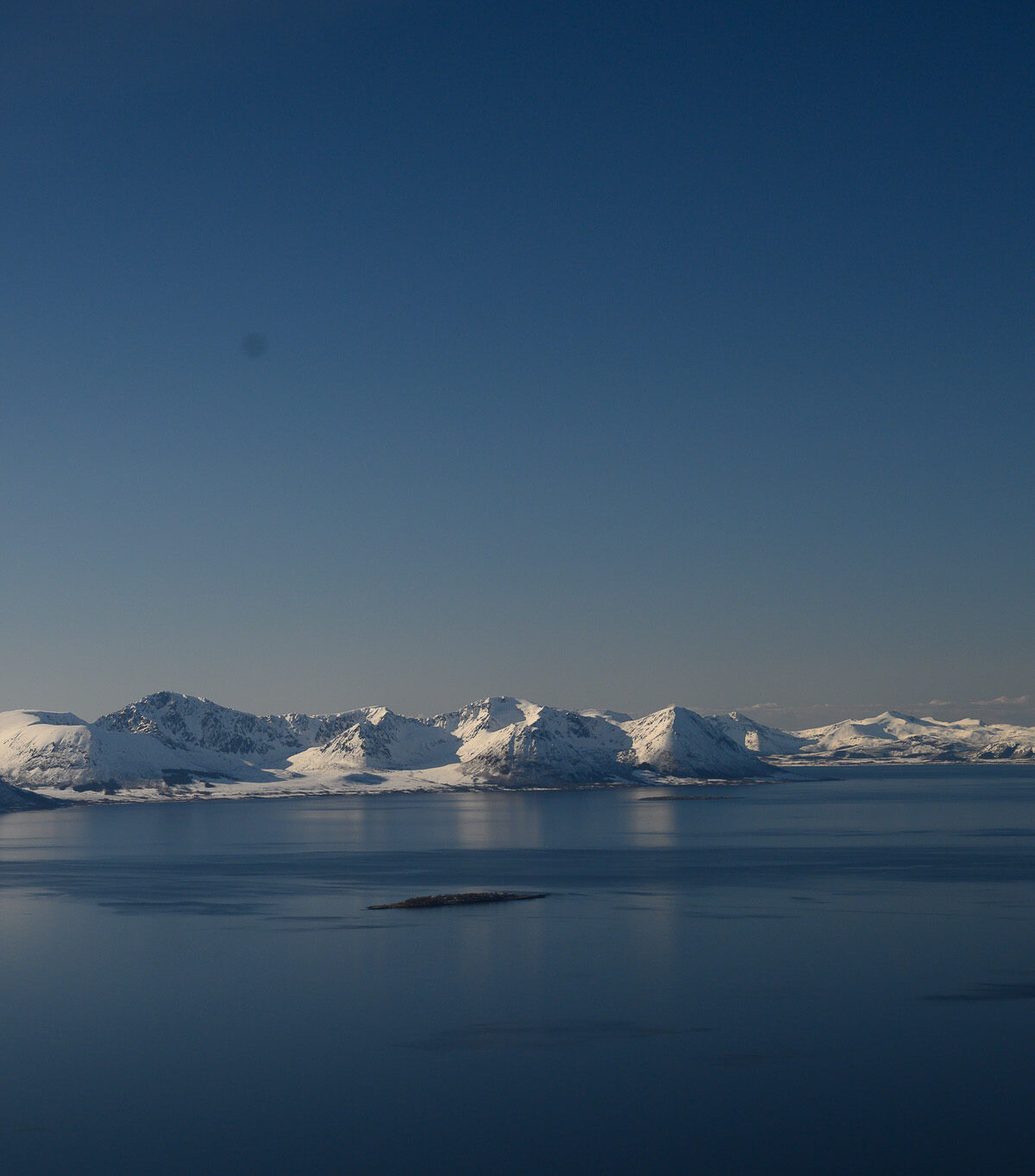 Arctic Blue