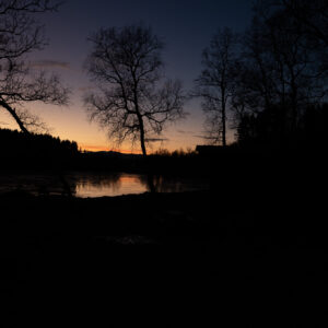 Skeletal trees silhouetted along a dark lakeshore at last light