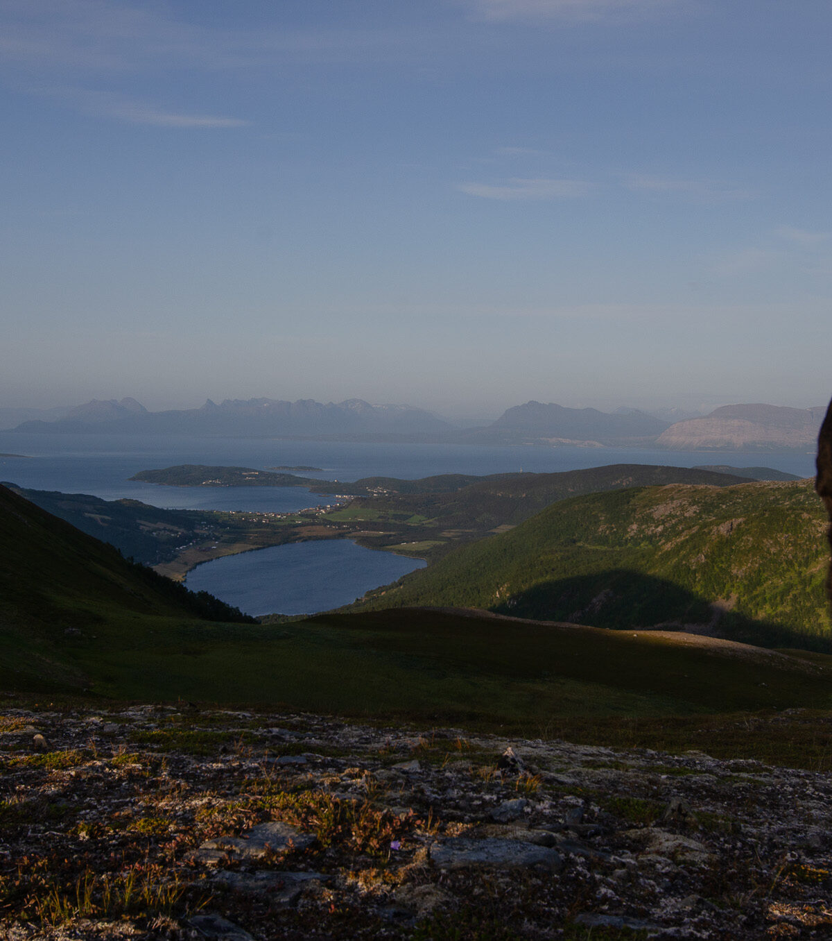 Facing the Fjord — Nontuva