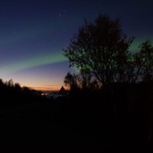Pale northern lights above a treeline in the last light of day