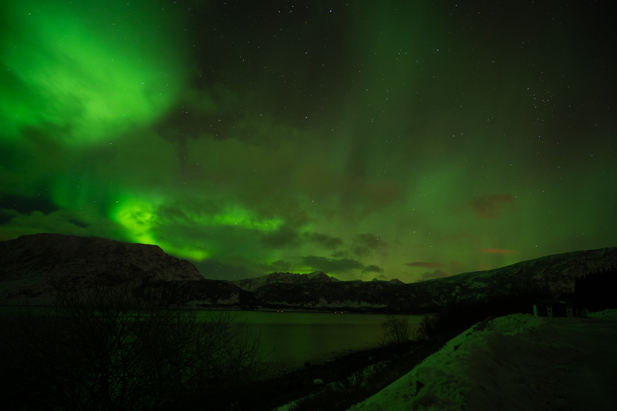 Northern lights sweeping over the fjord at Nupen, Kvæfjord