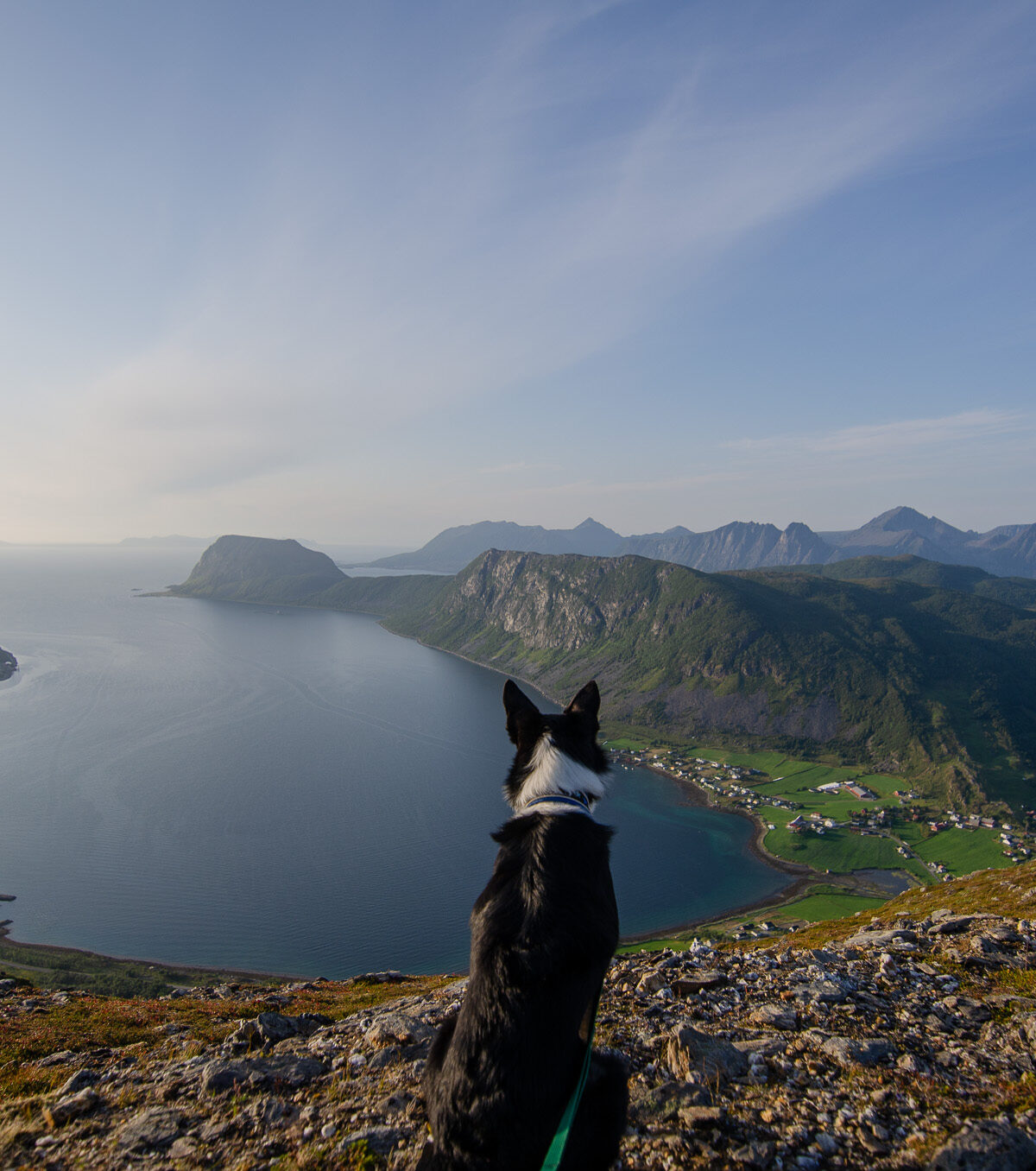 Looking Out — Nontuva
