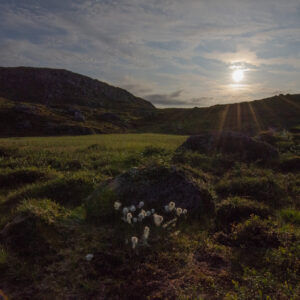 Late sun raking across autumn moorland and a lone boulder