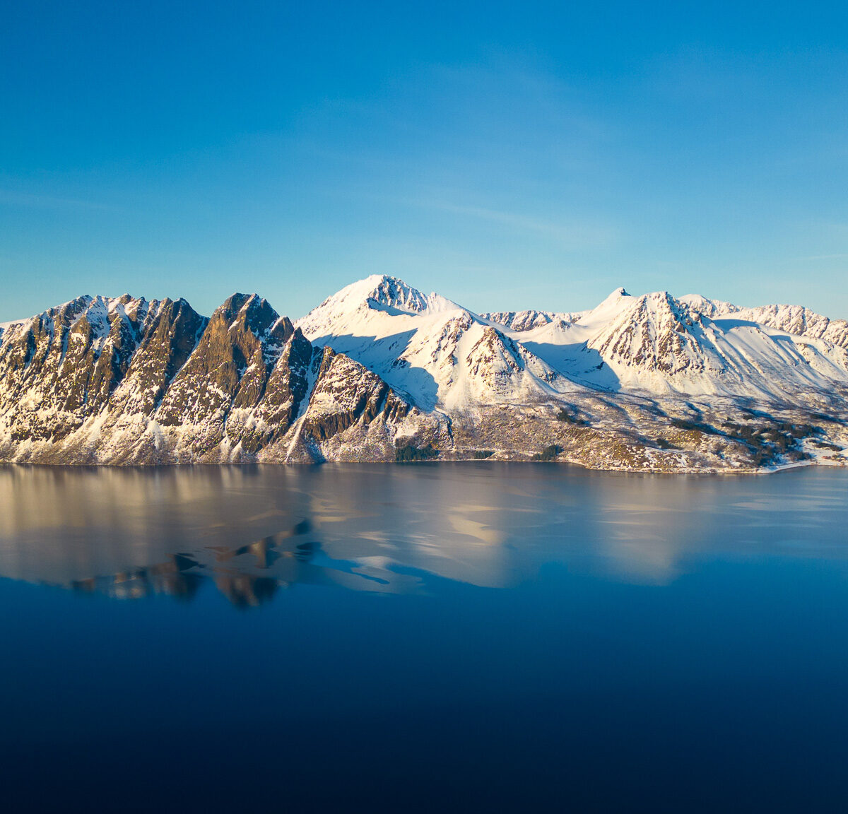 Mirror of the Arctic