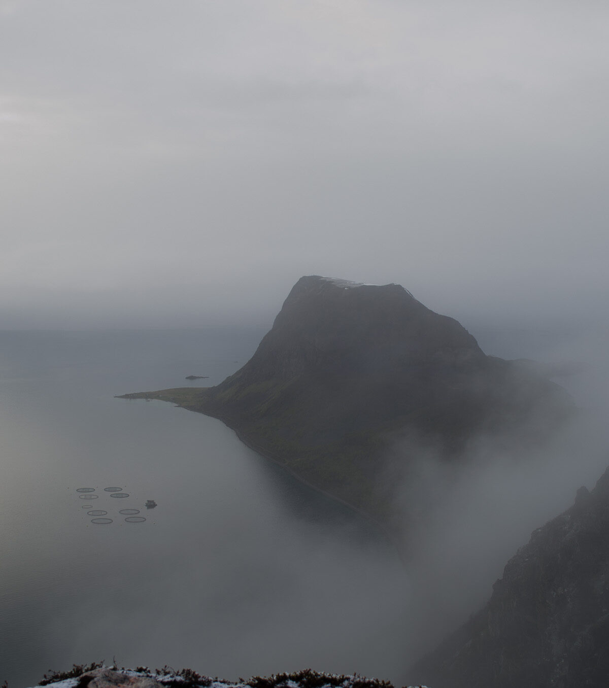 Peak in the Fog