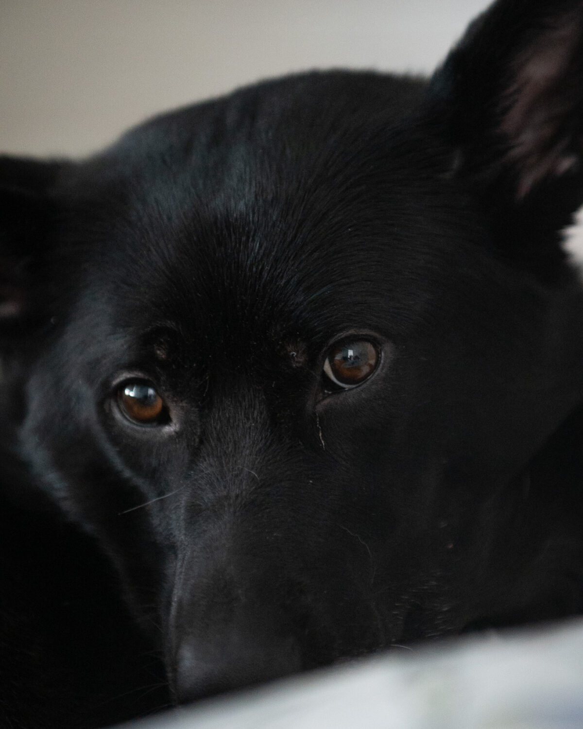 Quiet Eyes