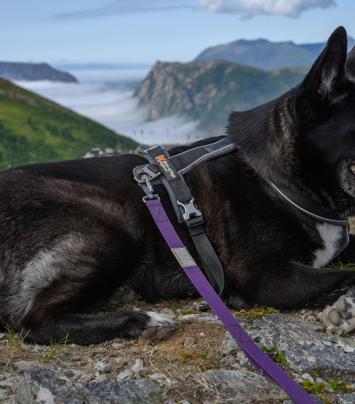 Rest Above the Clouds