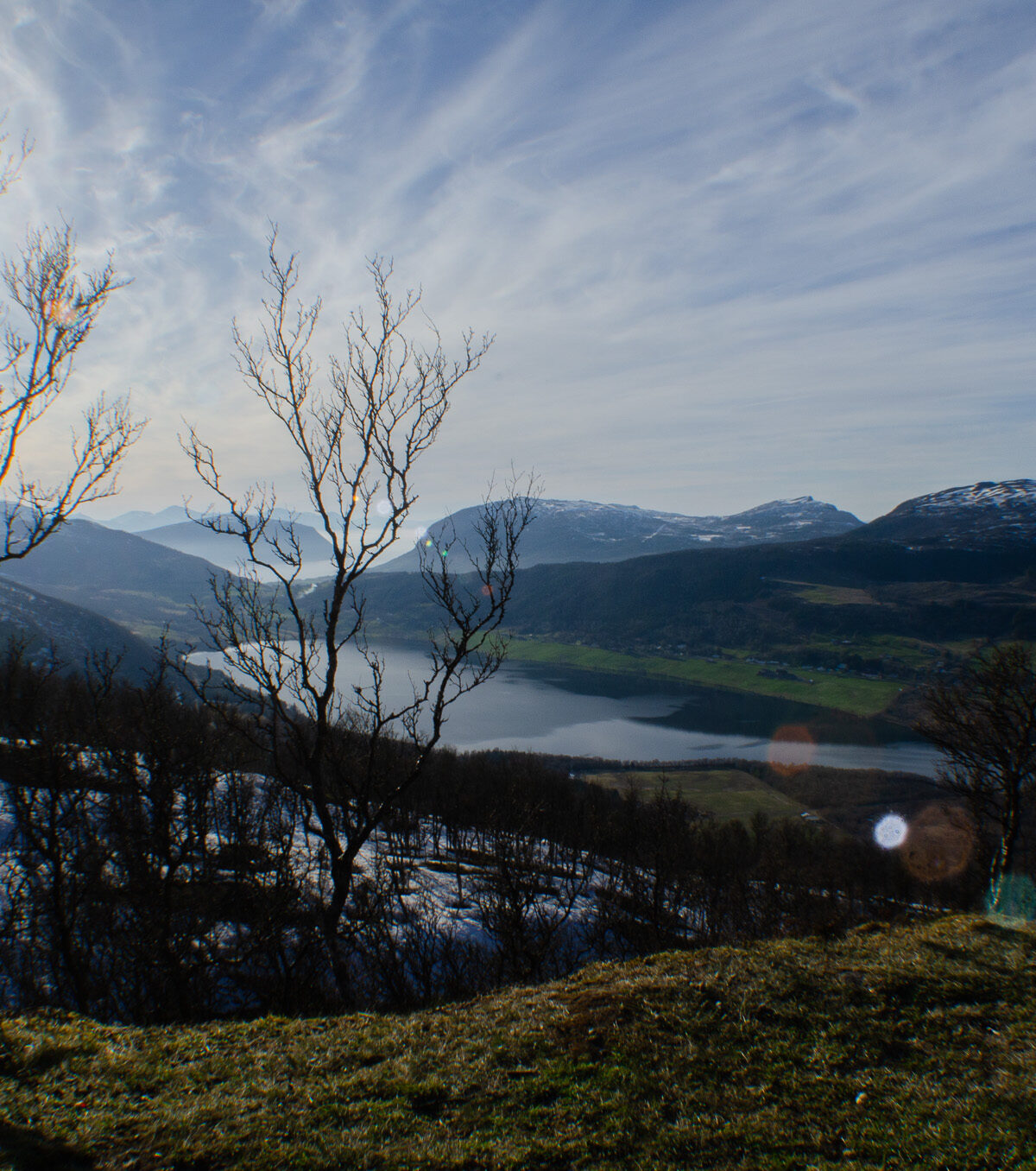Sun Through Bare Branches — Kilhusåsen