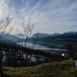 Sun burning through bare branches at Kilhusåsen, Harstad