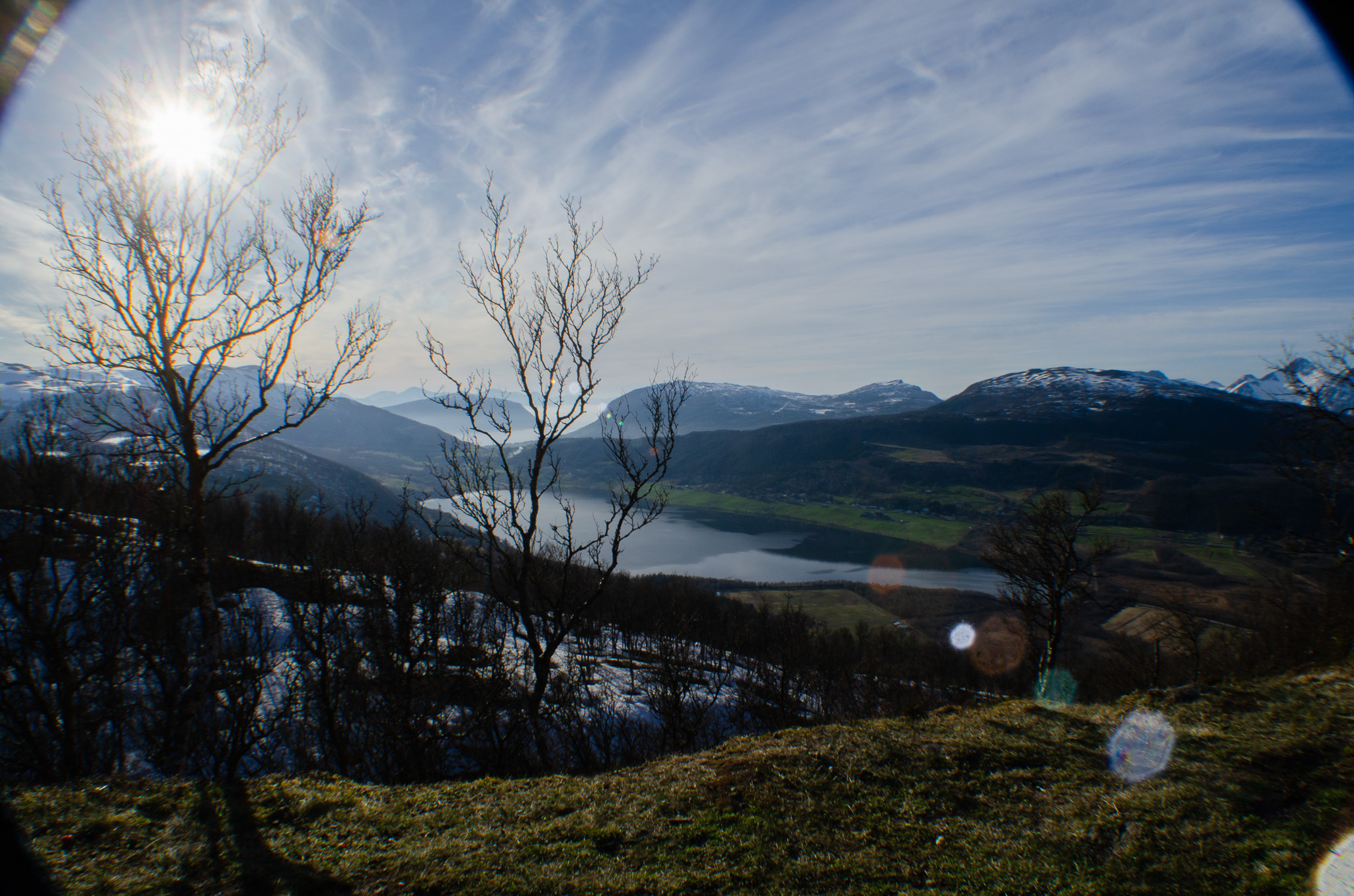 Sun burning through bare branches at Kilhusåsen, Harstad