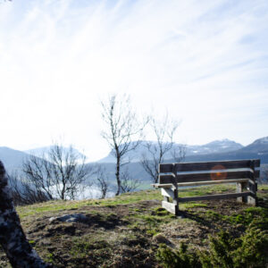 The Bench — Kilhusåsen