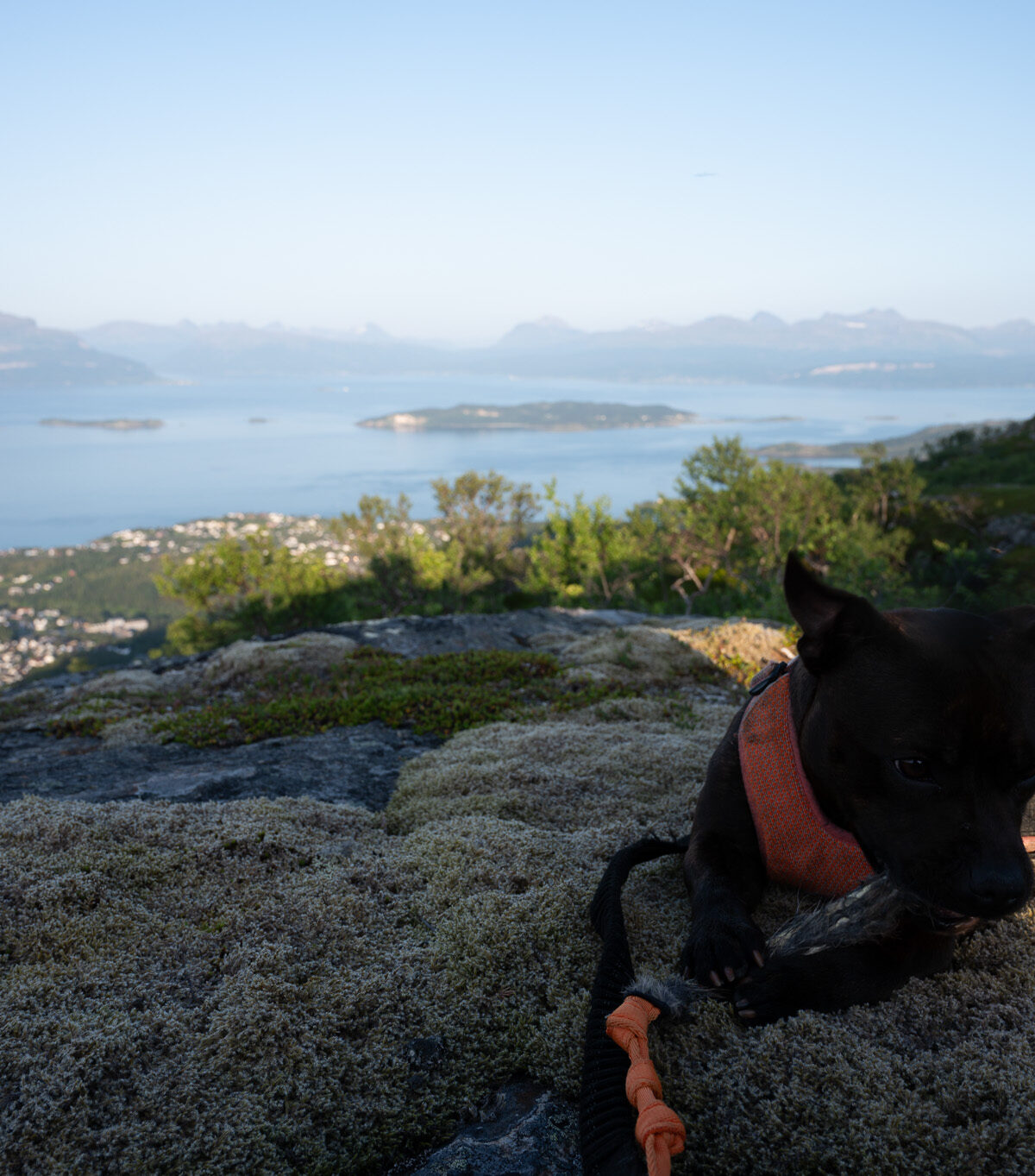 The View from Up Here