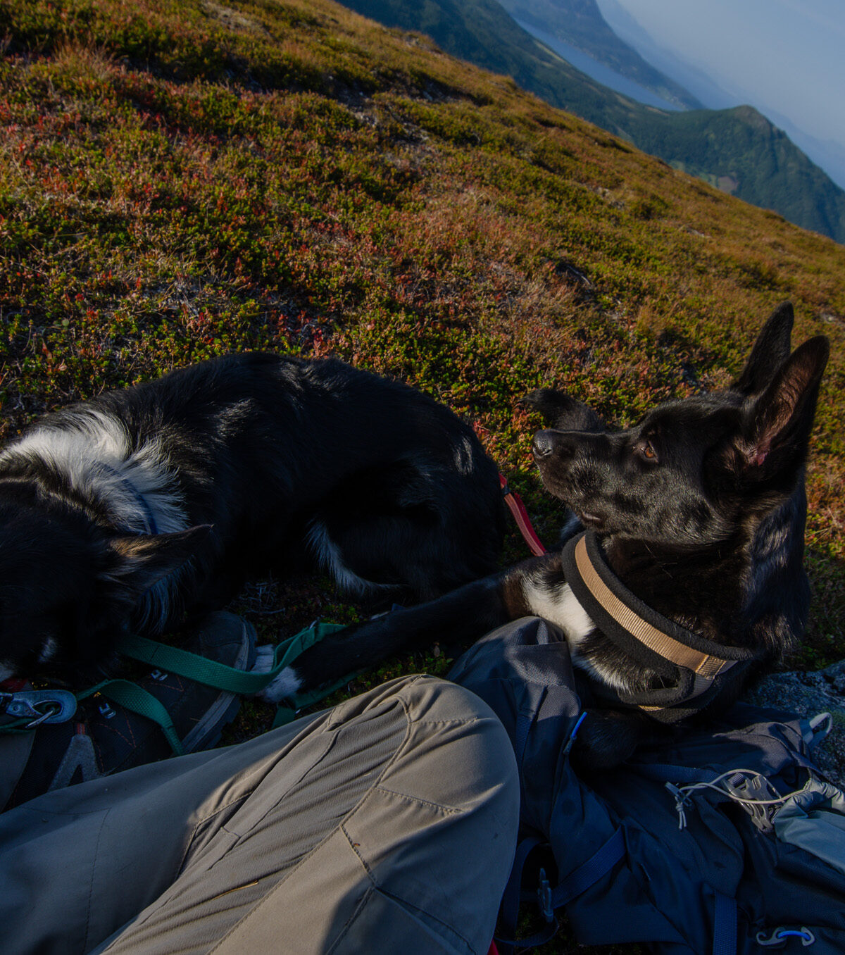 Trail Rest — Nontuva
