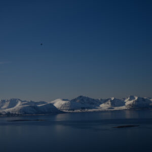 Snowy mountains lining a calm arctic sea in blue winter light